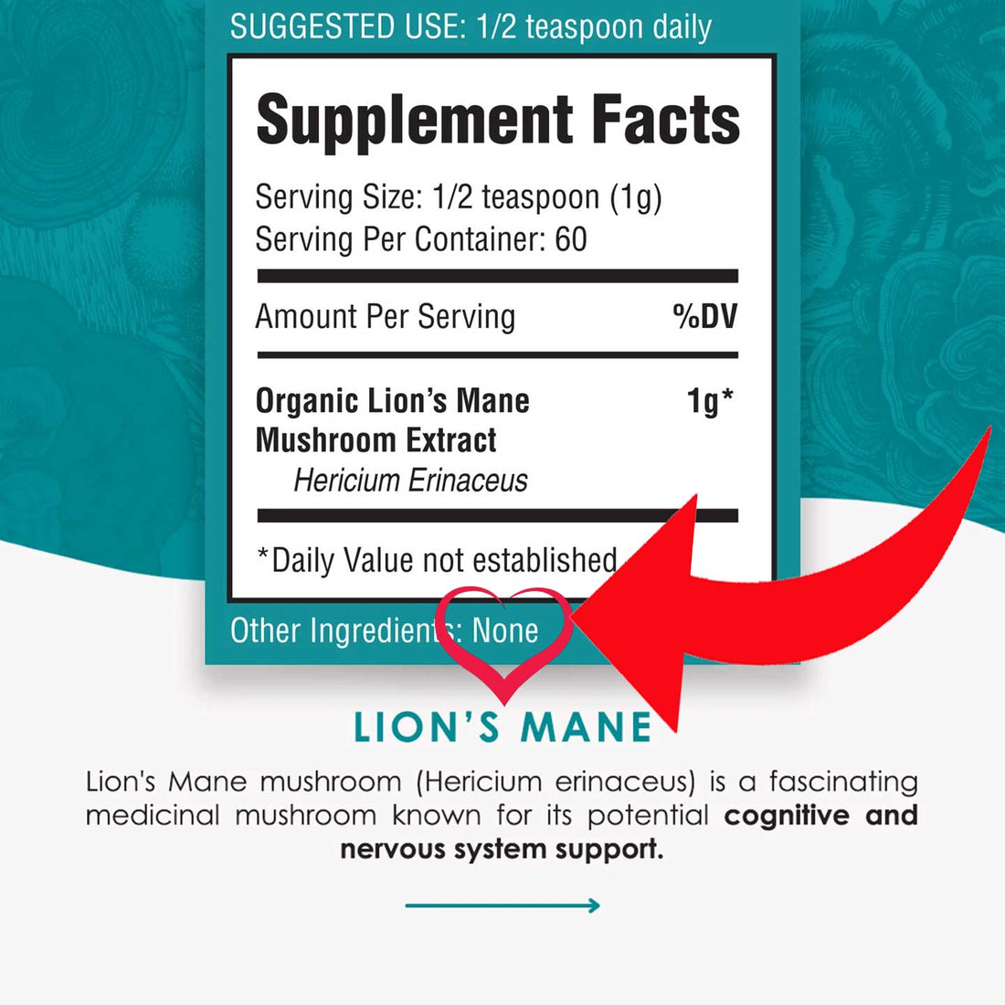 Best Lions Mane Brand