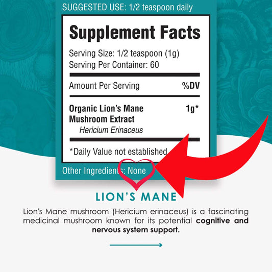Best Lions Mane Brand