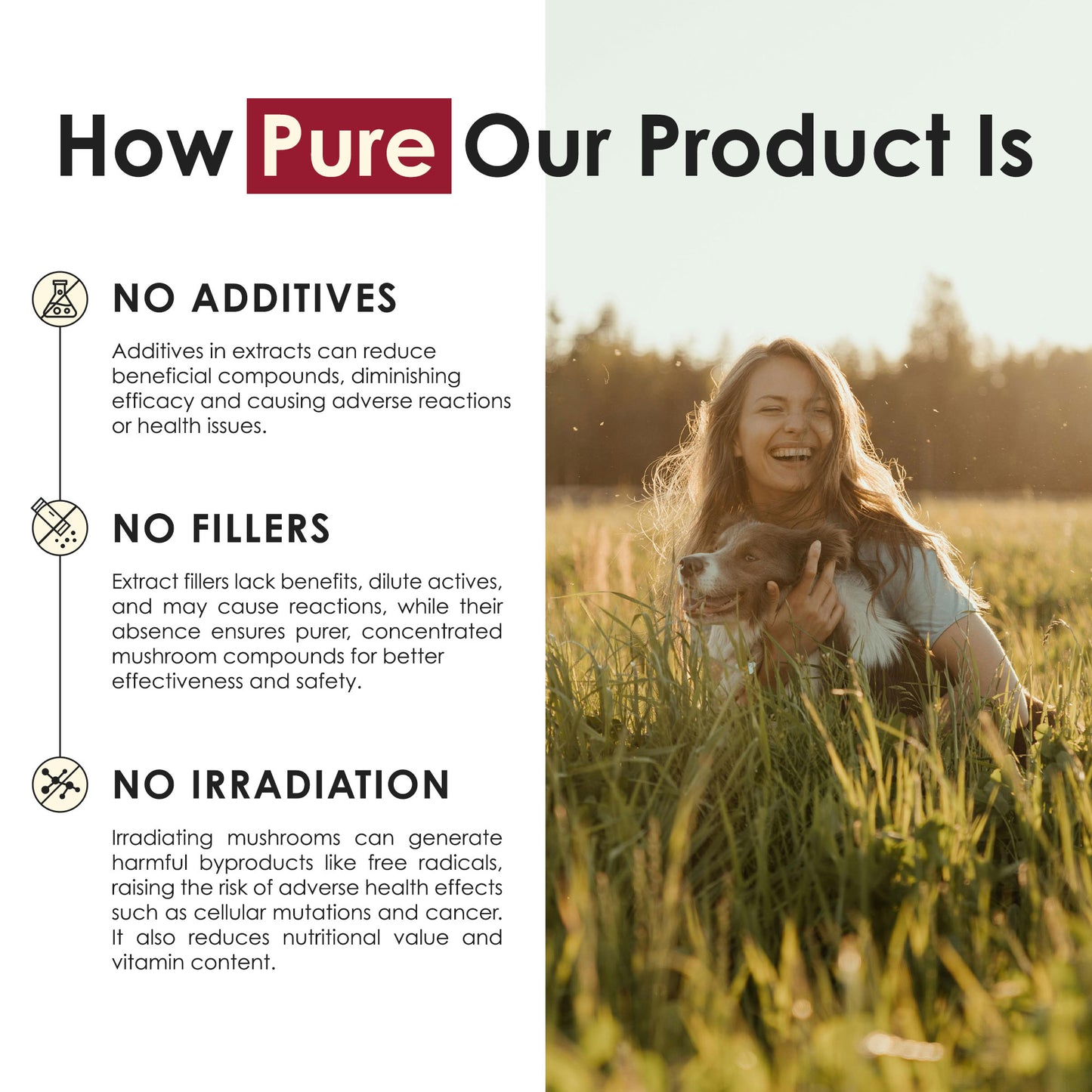 Cordyceps Mushroom Extract Tablets