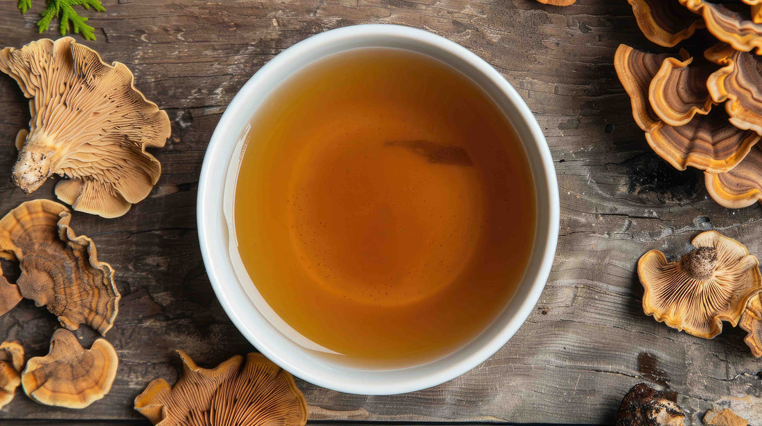 How to Easily Add Turkey Tail Tea to Your Routine