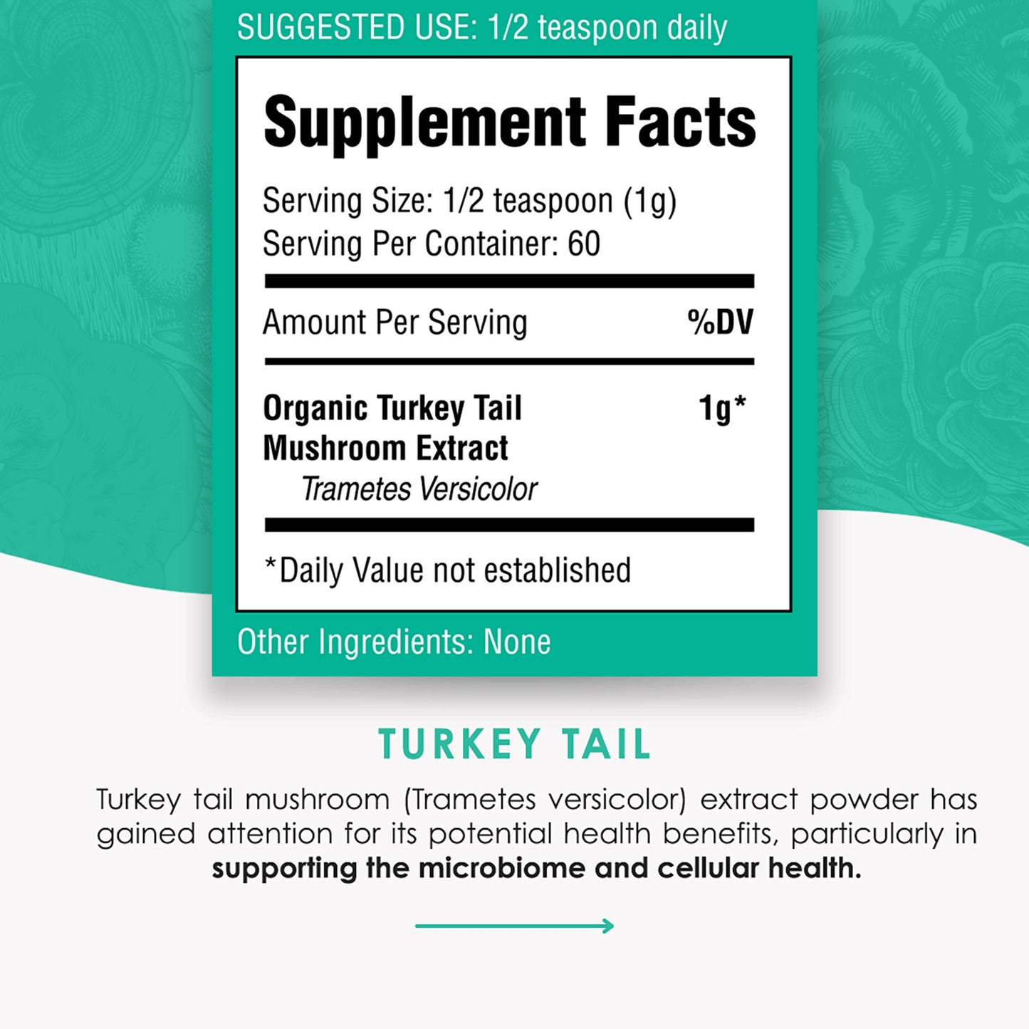 Turkey Tail Mushroom Extract Powder