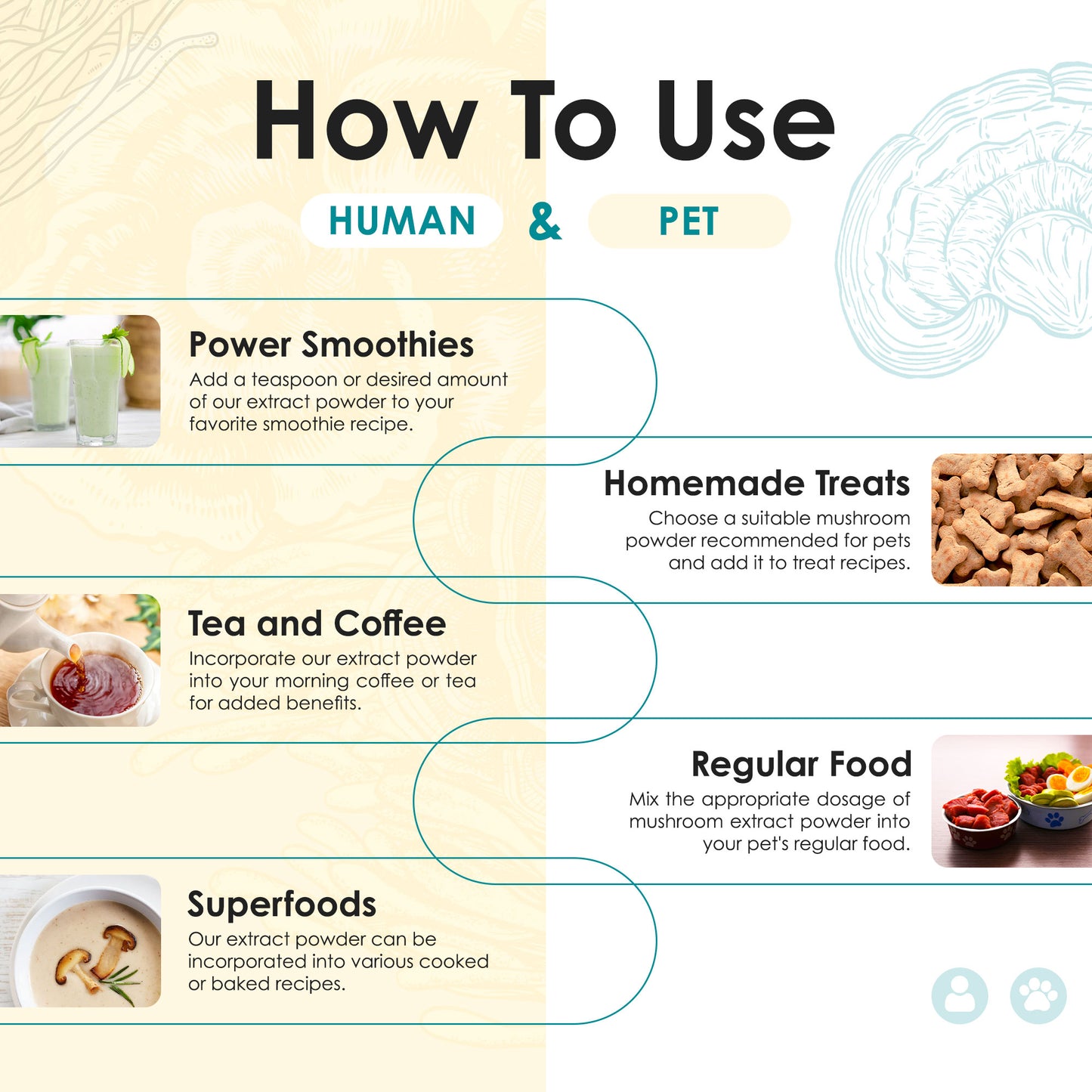 Reishi Mushroom Extract Powder